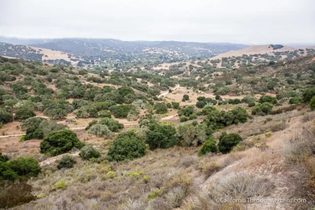 Go Uphill: Why Hiking and Walking on Inclines Is One of the Best Things You Can Do for Your Body