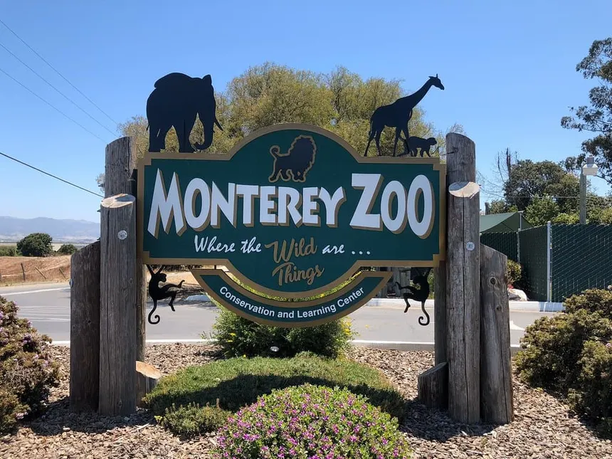 Rhinos on River Road: The Surprising Story Behind Monterey County's Own Zoo